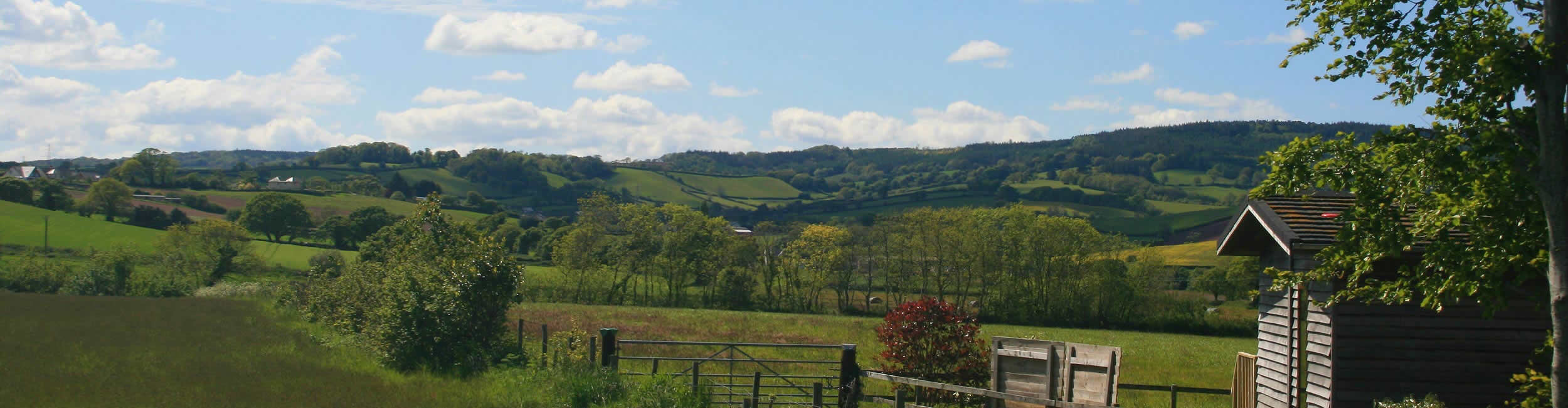 Devon Rose Estates Limited Lettings and Property Management Agents in