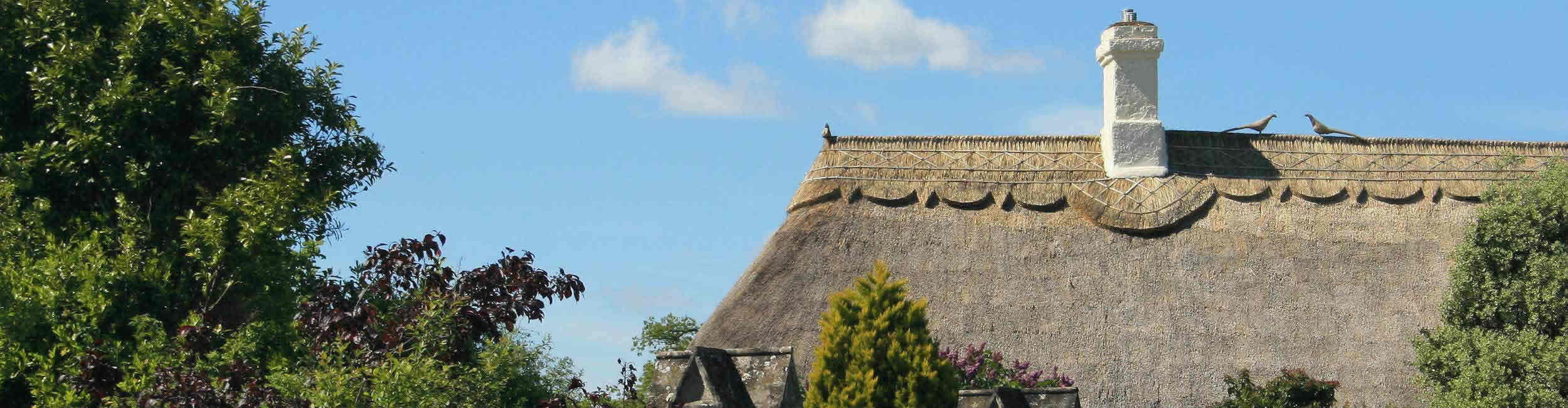 Devon Rose Lettings and Property Management - thatched roof