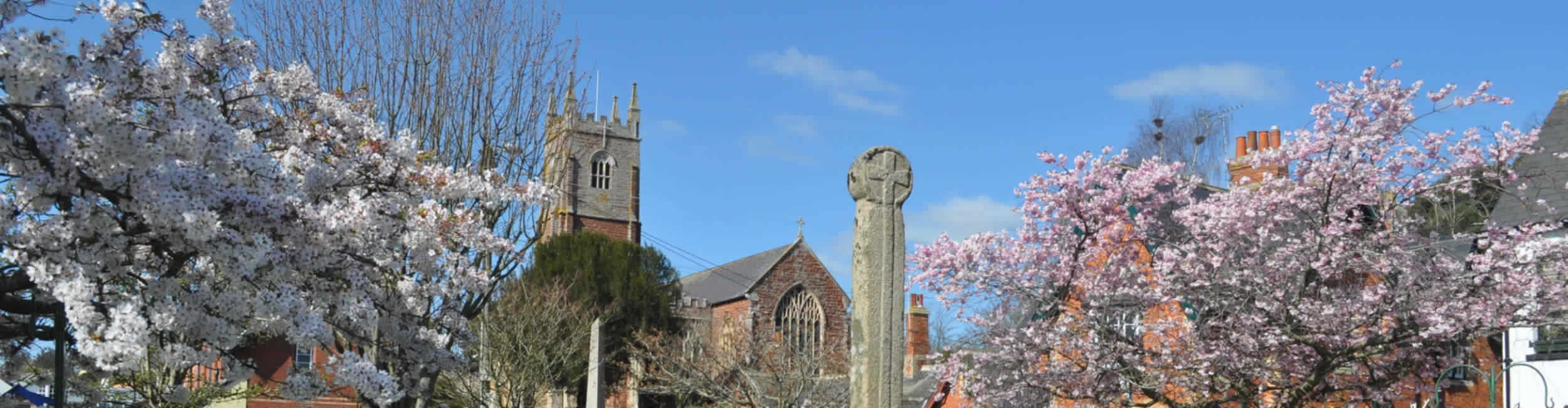 Devon Rose Estates Limited Lettings and Property Management Agents in